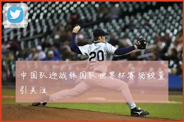 中国队迎战韩国队世界杯赛场较量引关注